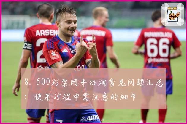 8. 500彩票网手机端常见问题汇总：使用过程中需注意的细节